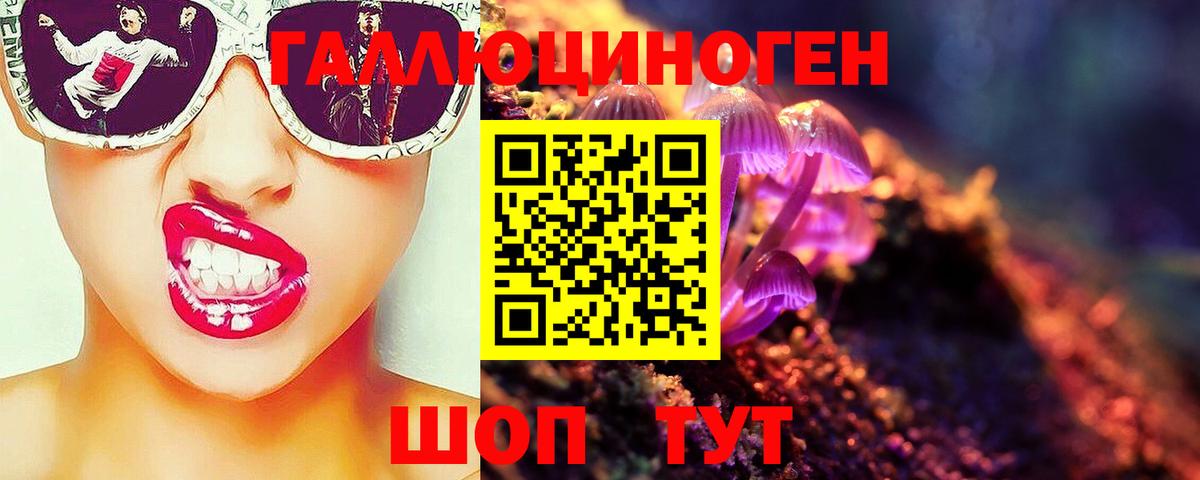 Галлюциногенные грибы Psilocybine cubensis  Галлюциногенные грибы Cubensis  Рыбинск  Вход с VPN 